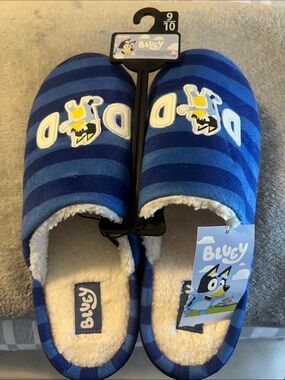 Mens Blue Striped Slippers - Brand